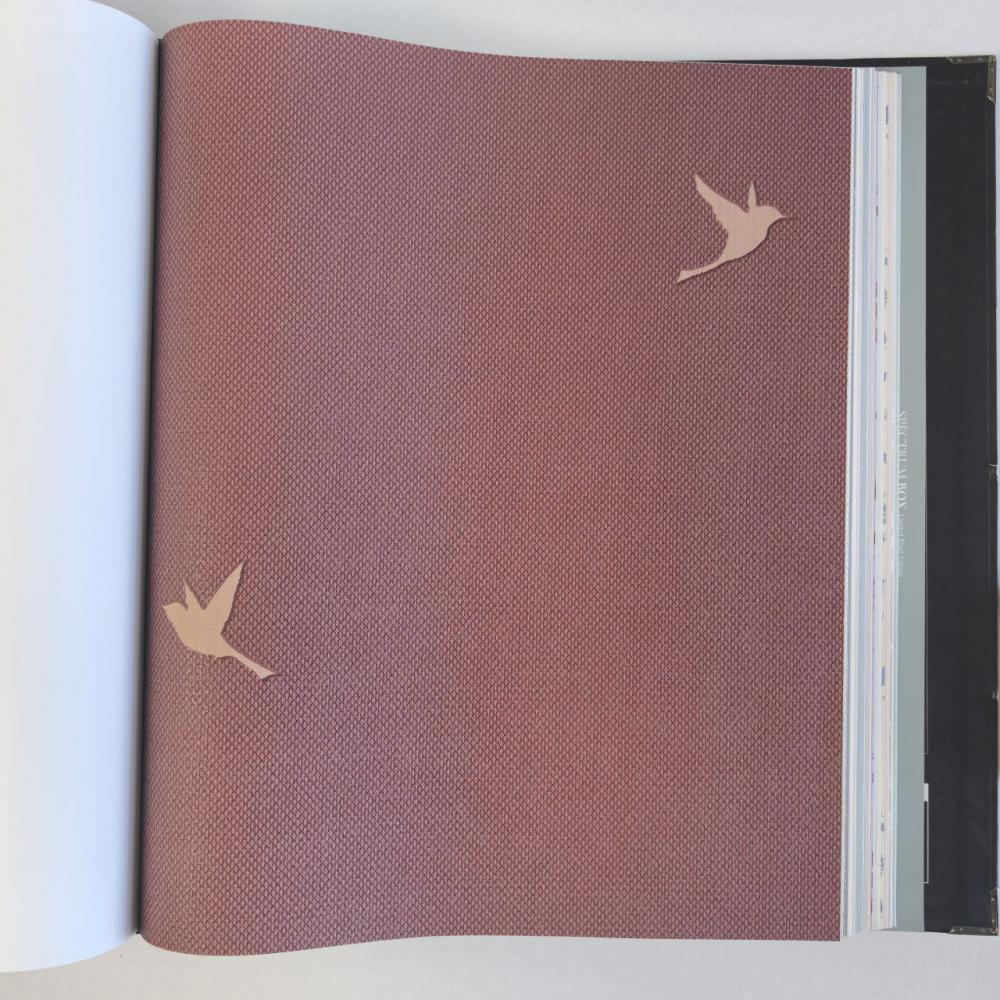 Andrea Rossi Spectrum Box 54458-14