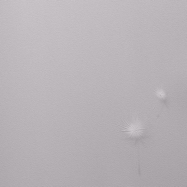 Andrea Rossi Gavi 54368-3