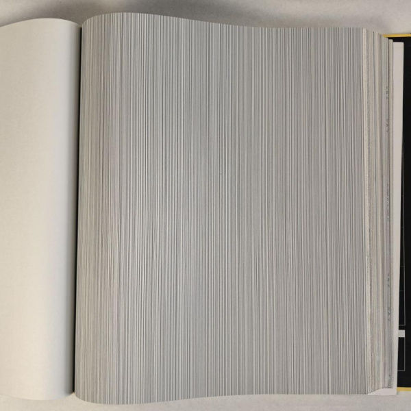 Andrea Rossi Cavolli 54425-6