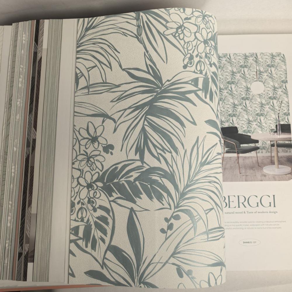 Andrea Rossi Berggi 54446-5