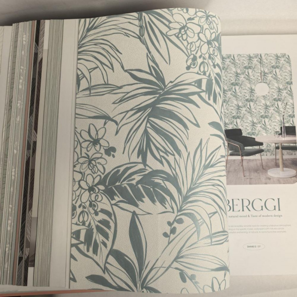 Andrea Rossi Berggi 54446-5