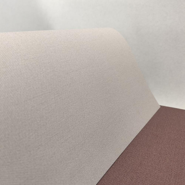 Andrea Rossi Berggi 54448-6