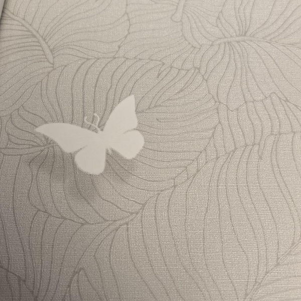 Andrea Rossi Berggi 54453-2