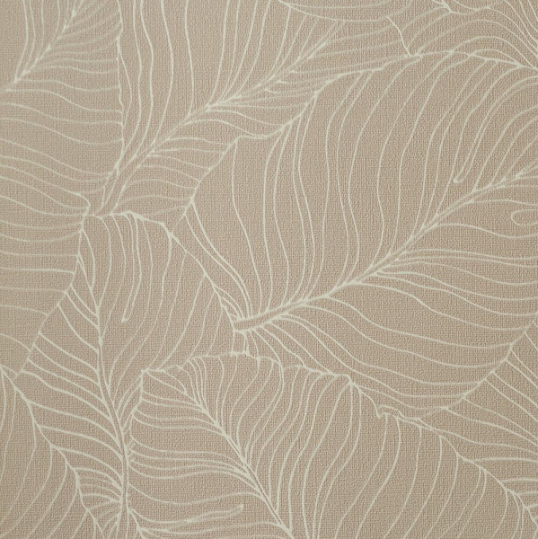 Andrea Rossi Palmaria 54464-3