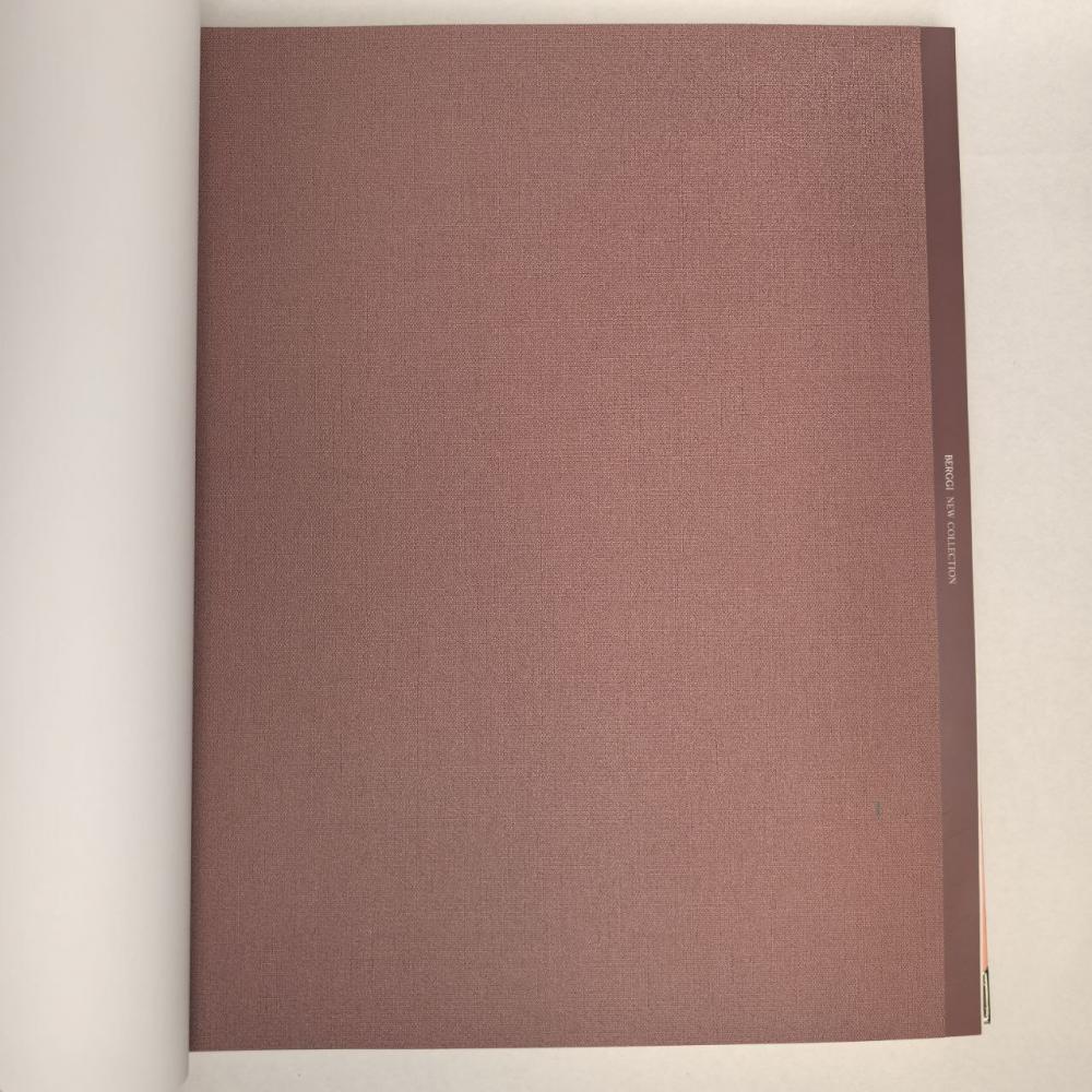 Andrea Rossi Berggi 54448-7