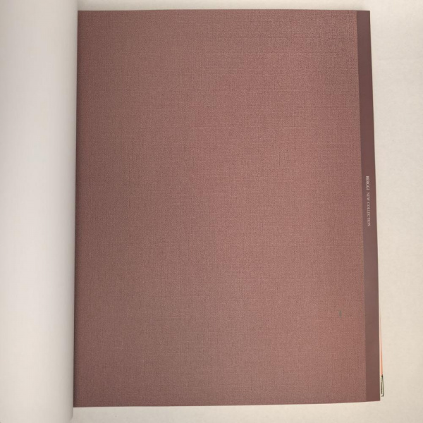 Andrea Rossi Berggi 54448-7