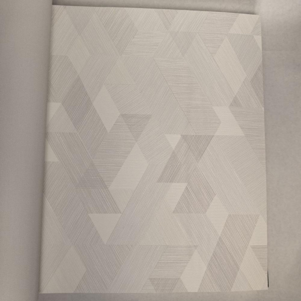 Andrea Rossi Berggi 54449-1