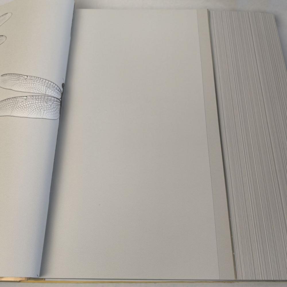 Andrea Rossi Cavolli 54424-4