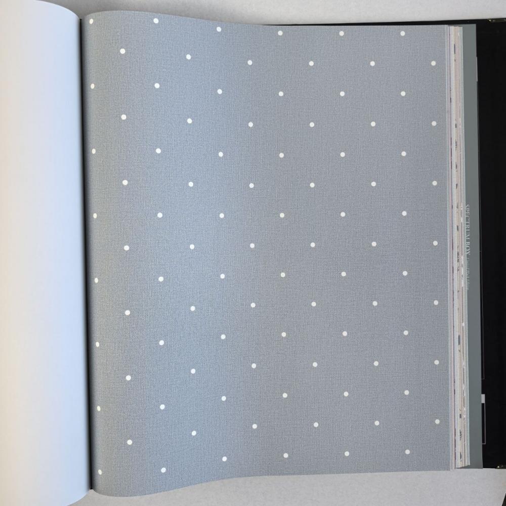 Andrea Rossi Spectrum Box 54454-13