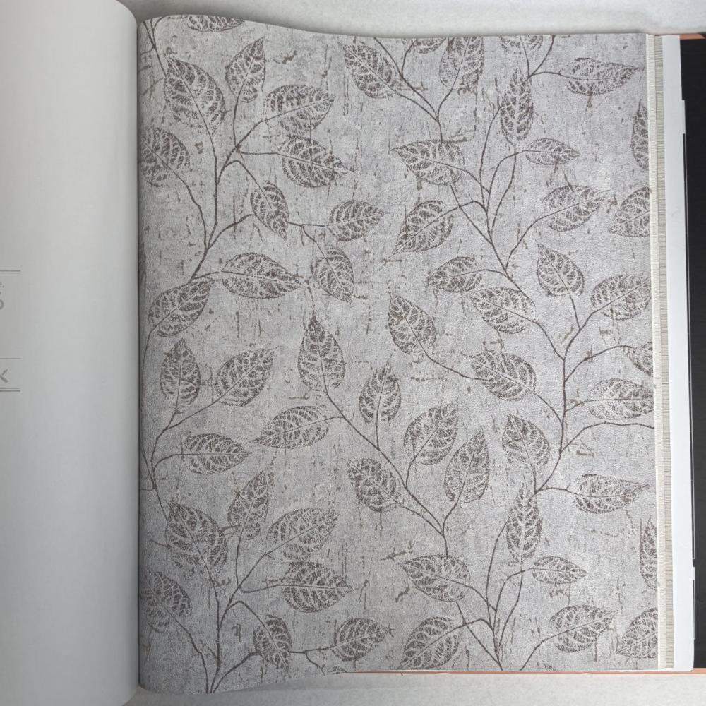 Andrea Rossi Berggi 54441-4