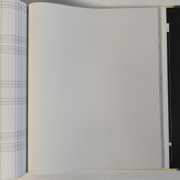 Andrea Rossi Cavolli 54416-1