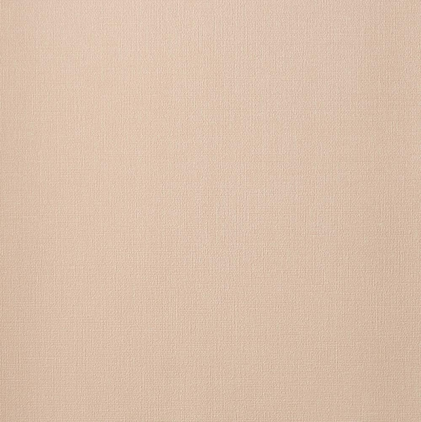 Andrea Rossi Palmaria 54463-4