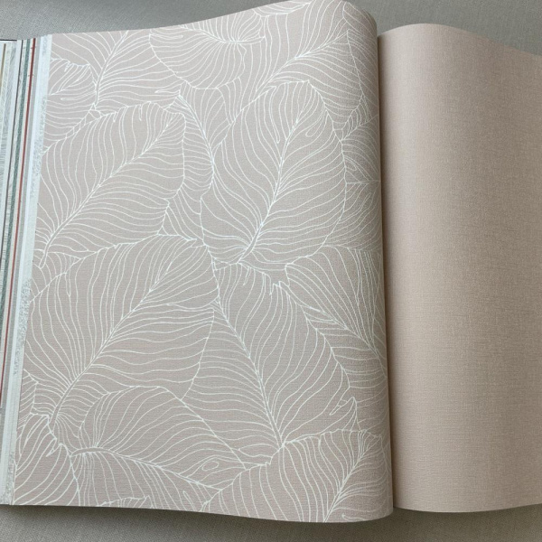 Andrea Rossi Palmaria 54464-4