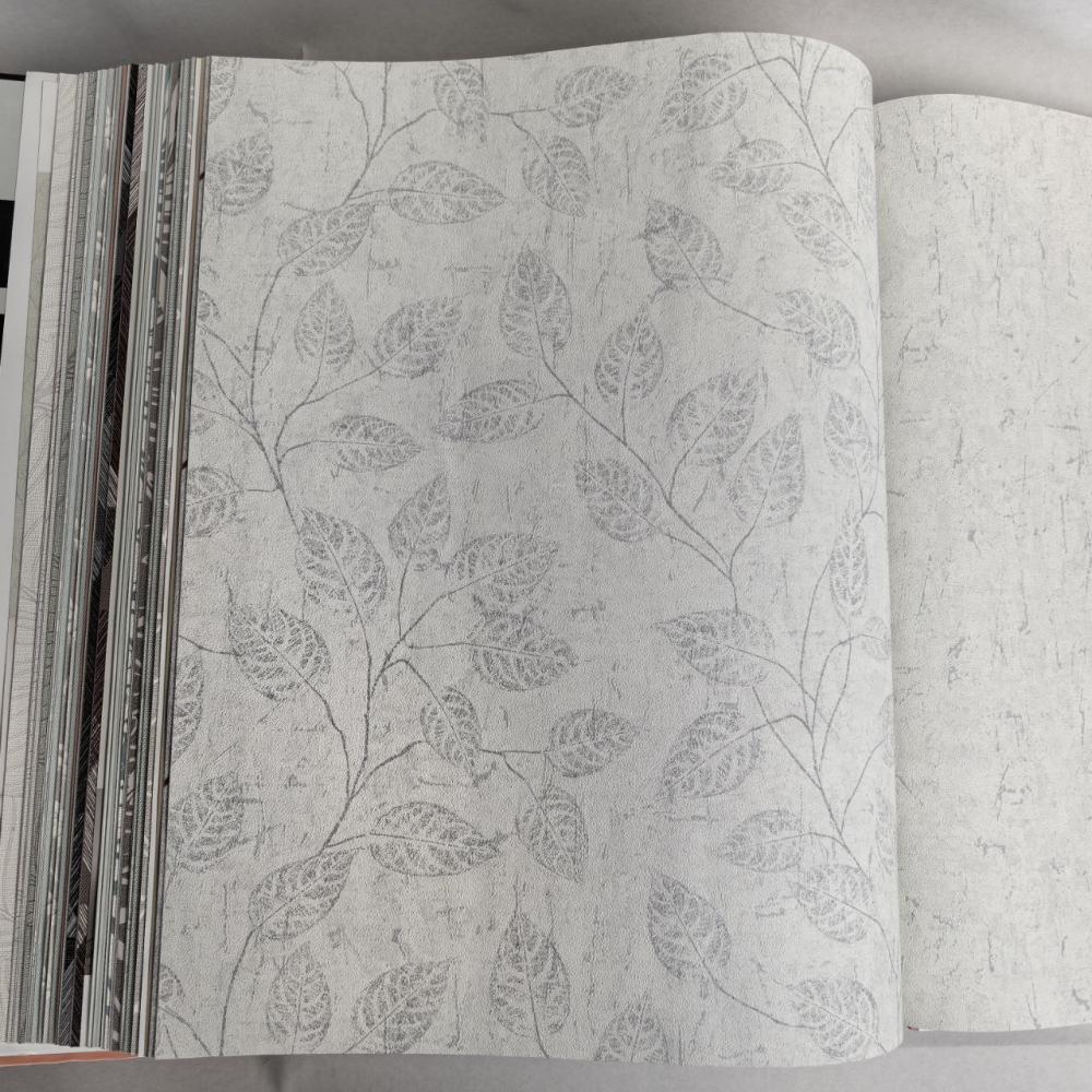 Andrea Rossi Berggi 54441-1