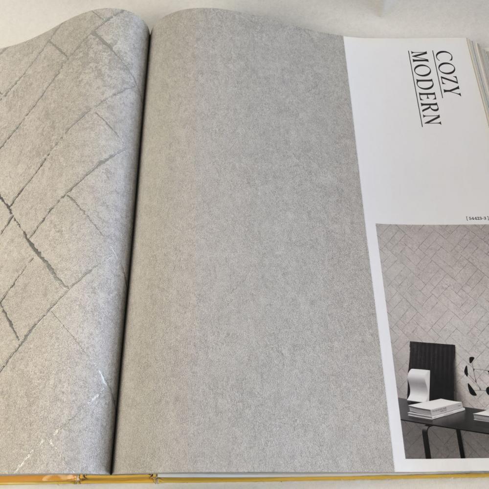 Andrea Rossi Cavolli 54422-8