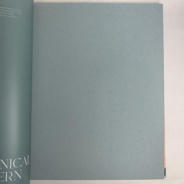 Andrea Rossi Berggi 54445-6