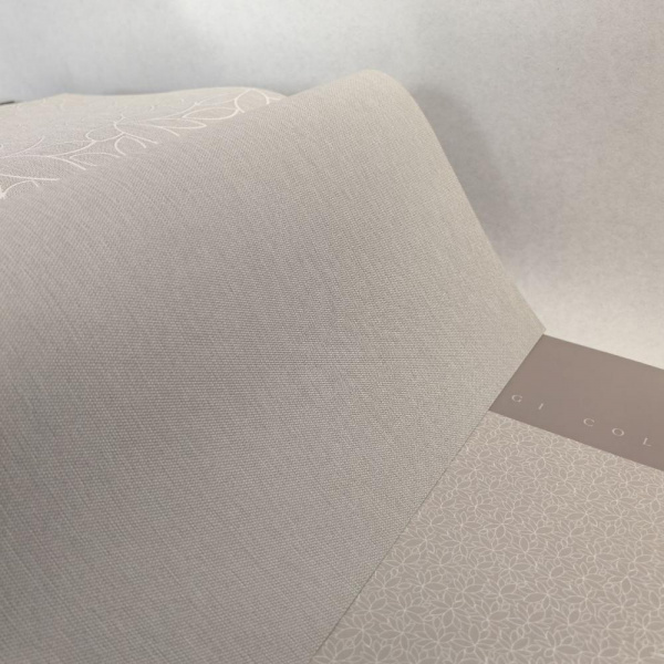 Andrea Rossi Berggi 54443-5