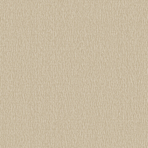 Andrea Rossi Barbana 54285-6