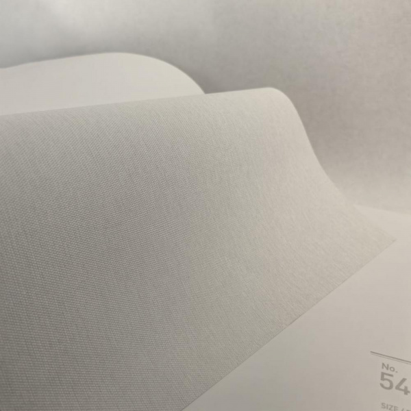 Andrea Rossi Berggi 54443-1