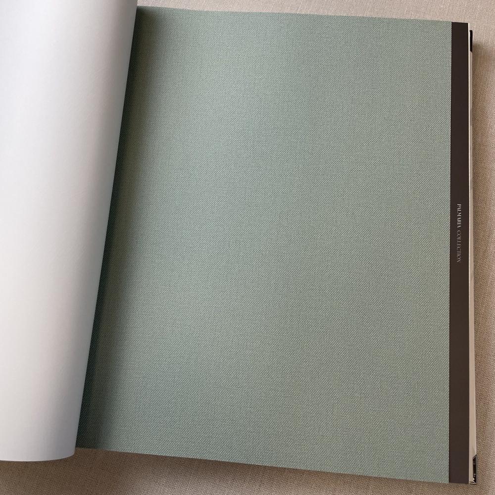 Andrea Rossi Palmaria 54469-14