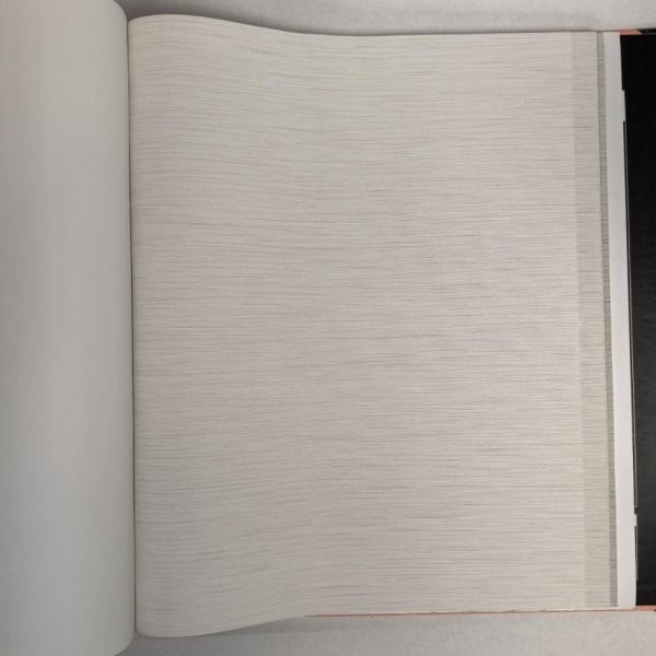 Andrea Rossi Berggi 54438-1