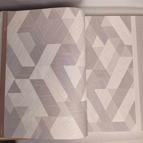 Andrea Rossi Berggi 54449-3